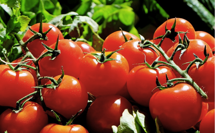 Superfood Tomatoes