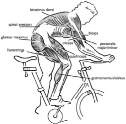 Why is Indoor Cycling Sometimes Referred to As Spinning? — Mcycle